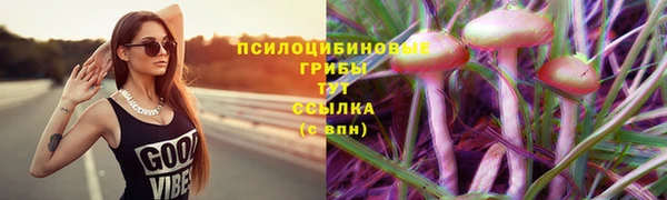 спайс Инта