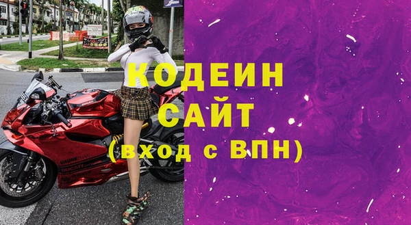 дмт Ельня