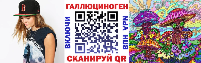 Псилоцибиновые грибы GOLDEN TEACHER  Камбарка 